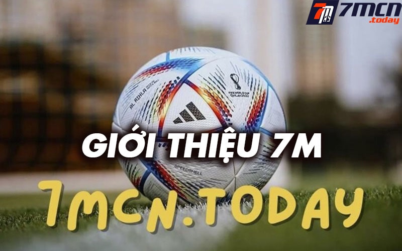 Giới thiệu caravanamapfre.com.mx